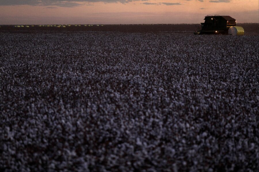 Ricardo Moraes/Reuters