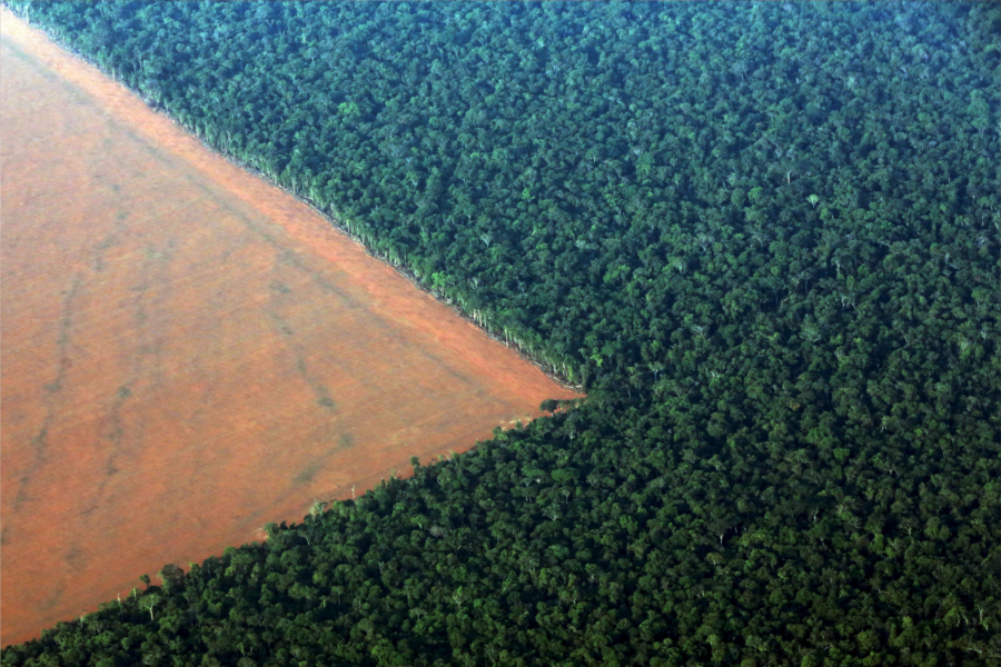 Paulo Whitaker/Reuters