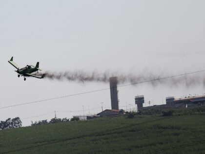 Nacho Doce/Reuters