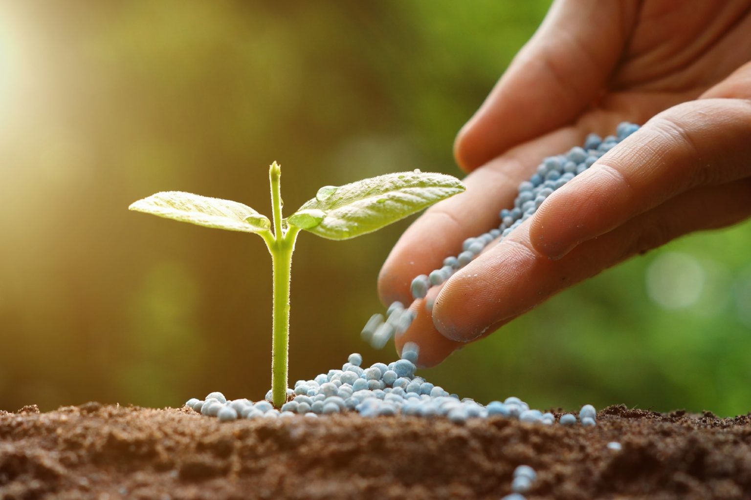 Canadense De Fertilizantes Nutrien Anuncia Acordo De Compra Da Terra 