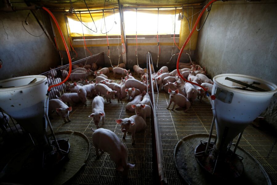 REUTERS/Rodolfo Buhrer