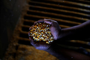 Nacho Doce/Reuters