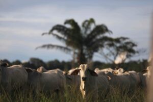 Pilar Olivares/Reuters