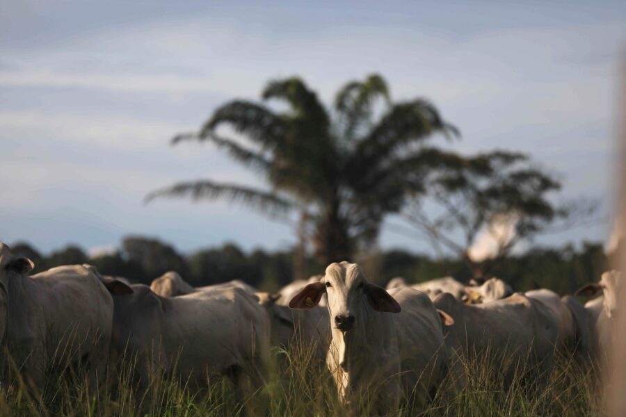 Pilar Olivares/Reuters