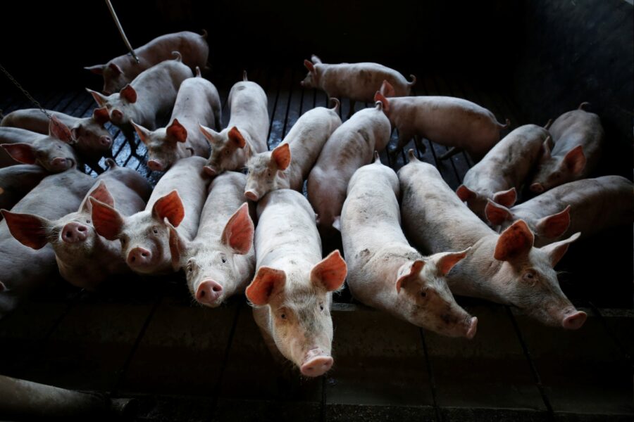 Rodolfo Buhrer/Reuters