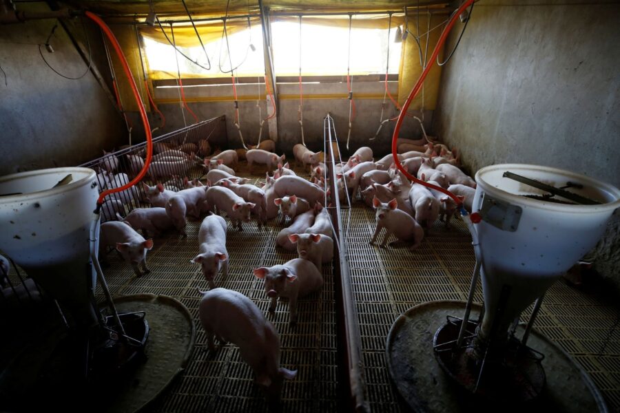 Rodolfo Buhrer/Reuters