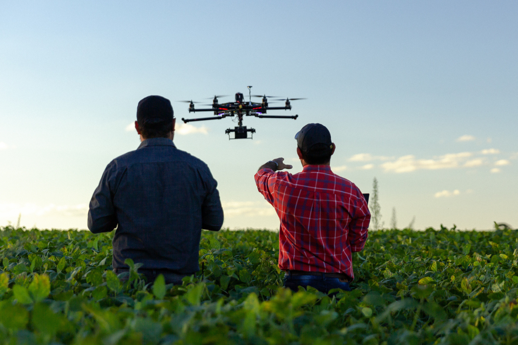 Quantos hectares um drone pulveriza por dia?