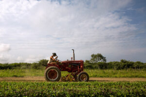 Lindsay Morris/Reuters