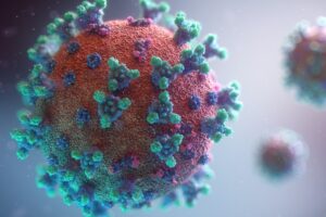 Fusion Medical Animation/Unsplash