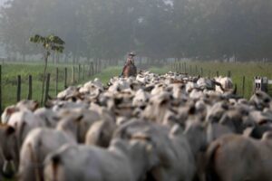 Pilar Olivares/Reuters