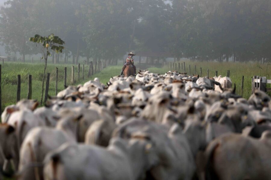 Pilar Olivares/Reuters