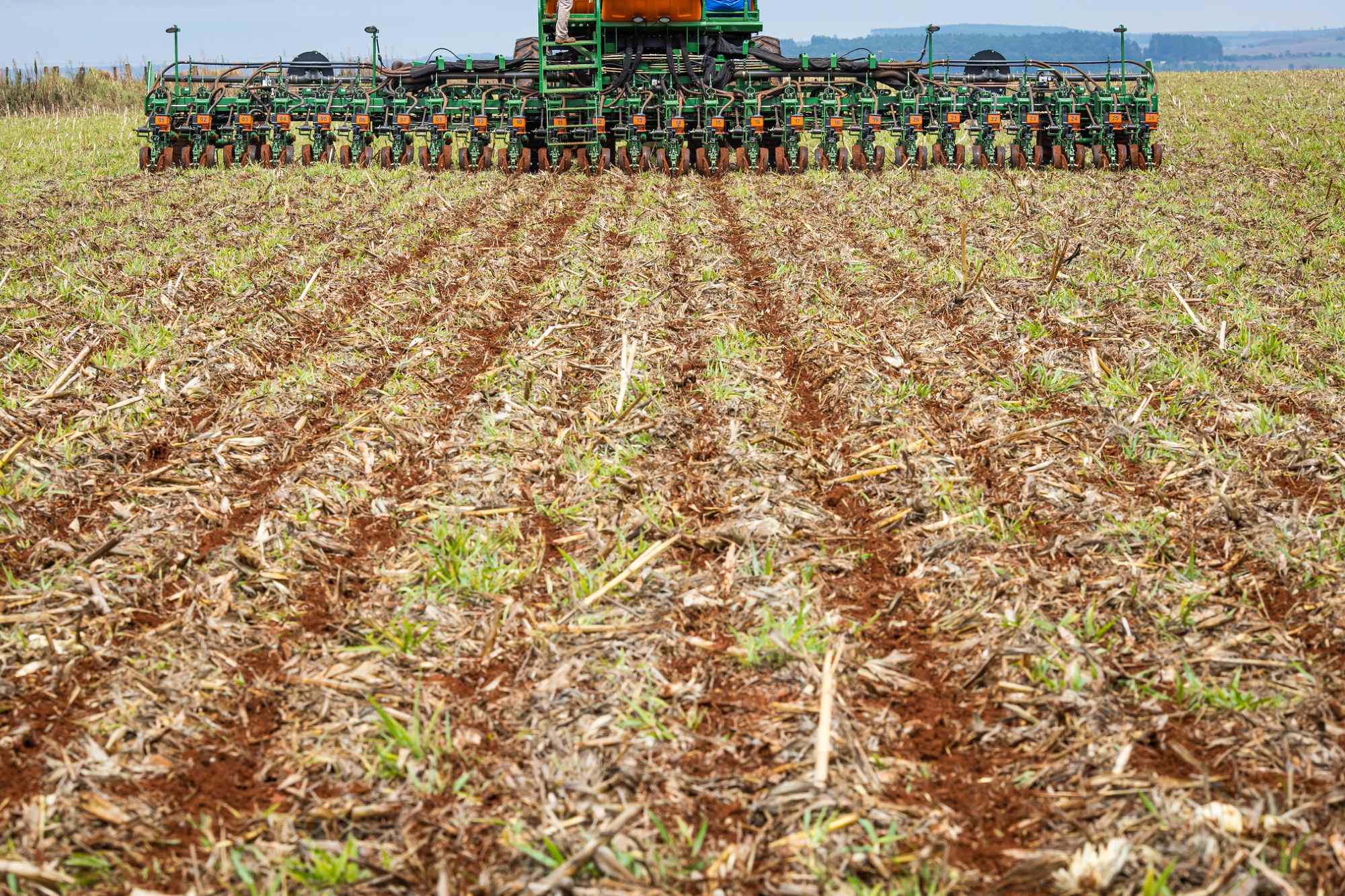 Paraná Sai Na Frente E Já Começa A Plantar Soja Na Safra 202122