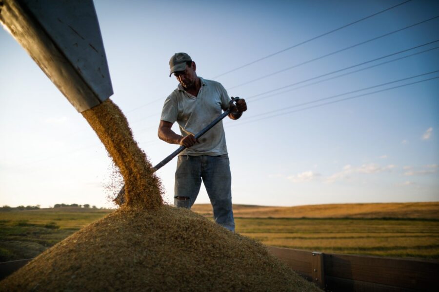 Trabalhador em propriedade rural