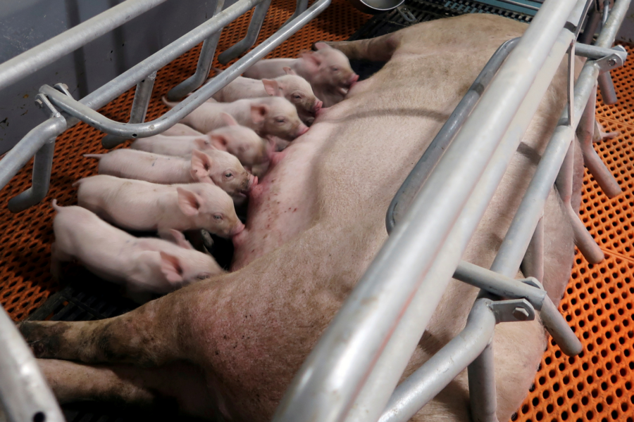 Thomas Suen/Reuters