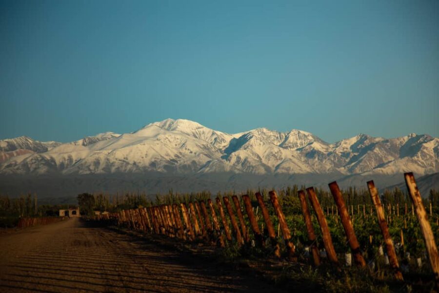 Divulgação/Bodega Catena Zapata