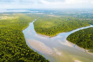 A poucos dias de conferência do Clima, governo lança programa verde