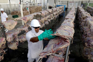 Paulo Whitaker/Reuters