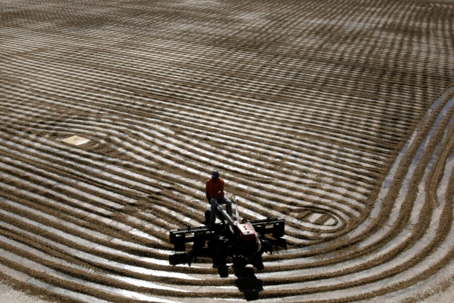 REUTERS/Paulo Whitaker