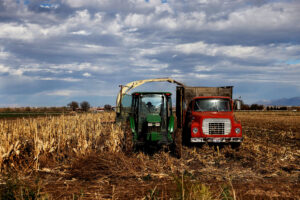 Shannon Stapleton/Reuters