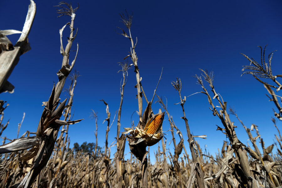 REUTERS/Agustin Marcarian