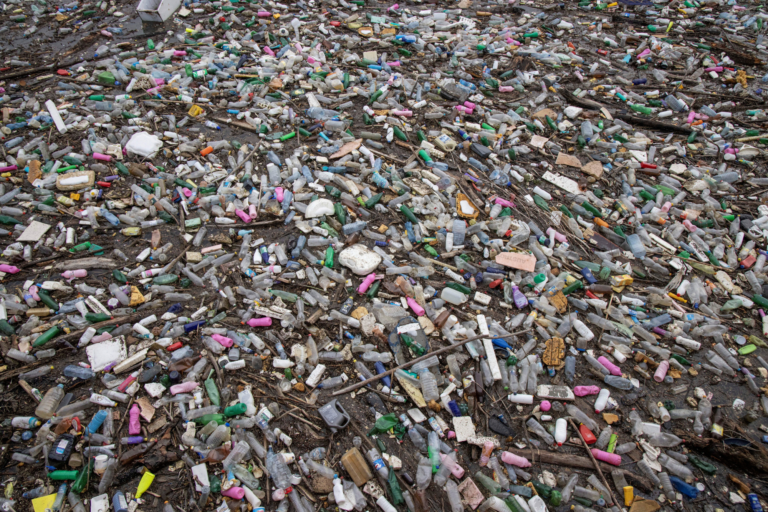 Lixo de plástico em lago Potpecko, Sérvia