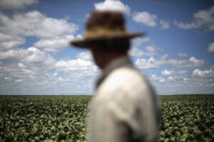 Ueslei Marcelino/Reuters