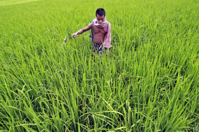 Agricultor em lavoura na Índia