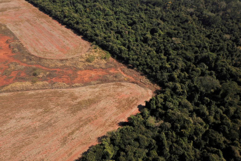 Desmatamento perto de uma floresta na fronteira entre a Amazônia e o cerrado em Nova Xavantina, Mato Grosso