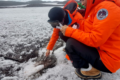Pesquisadores coletam amostras do solo da Antártida