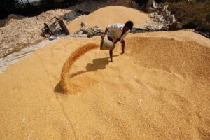 Krishnendu Halder/Reuters
