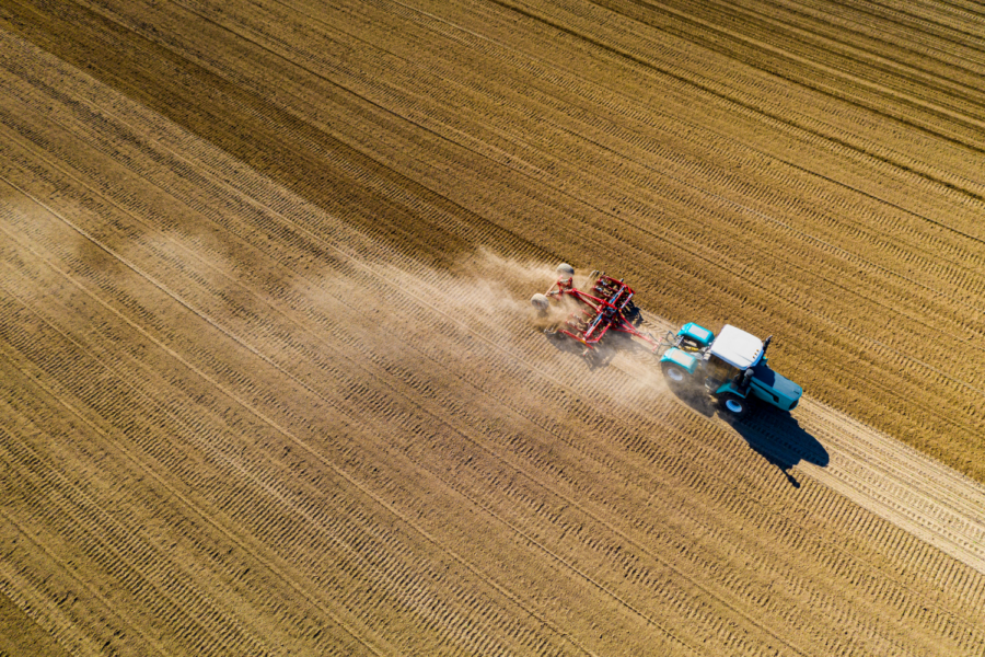 Plantação em processo de fertilização