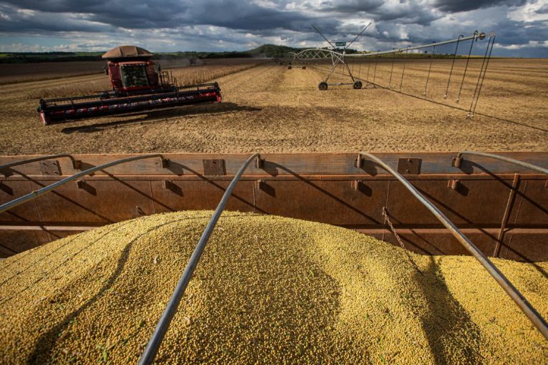 Lista da Forbes com bilionárias do agro Brasil impulsiona