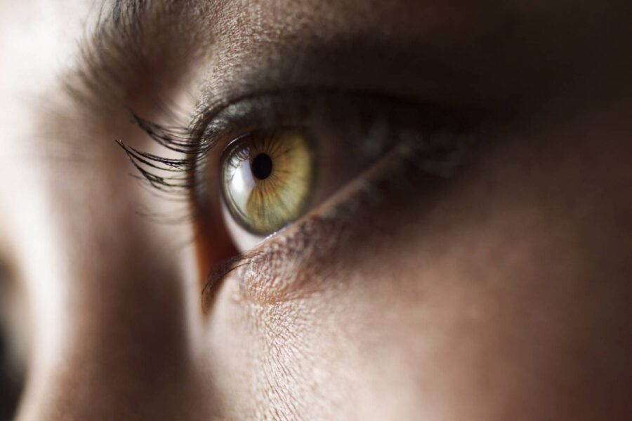 Digital Vision/Getty Images