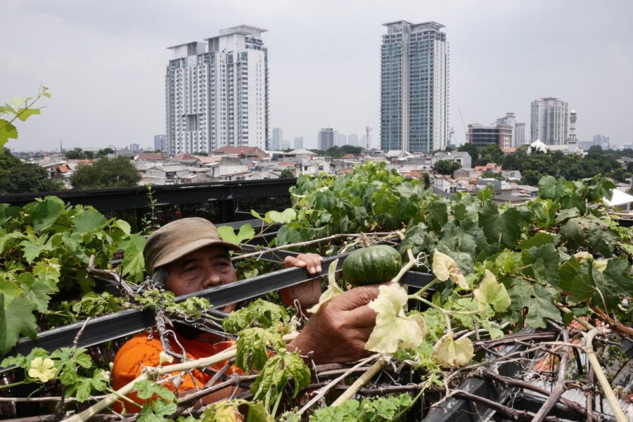Anton Raharjo/Getty Images