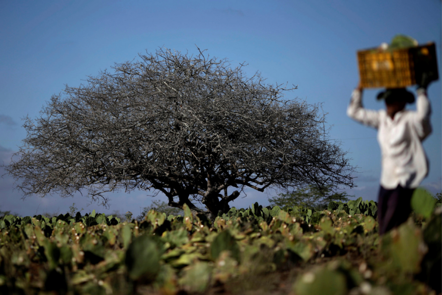 Ueslei Marcelino/Reuters