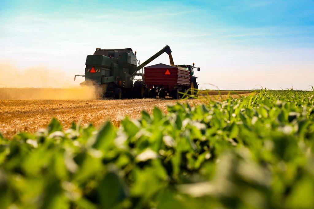 O Que Significa Tornar A Produção De Alimentos Mais Sustentável Forbes 1612