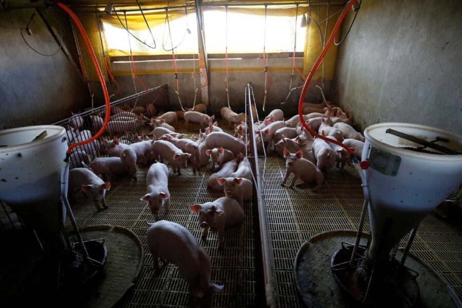 Rodolfo Buhrer/Reuters