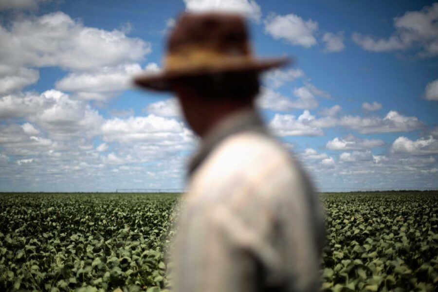 Produtor rural no campo