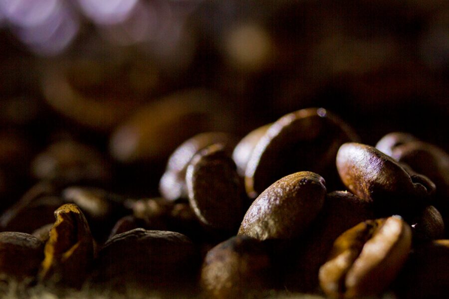 Grãos de café torrado inteiros que foram pesquisados