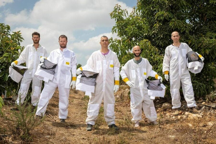 Fundadores da Beewise (da esquerda para a direita): Hillel Schreier, Eliyah Radzyner, Saar Safra, Yossi Surin, Boaz Petersil, em um pomar, vestidos de macacões brancos e proteção