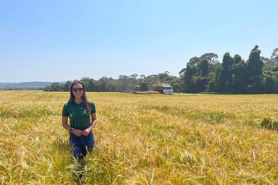 Maryon Carbonare numa plantação de cereais. Usa óculos de sol, jeans e uma camiseta verdevada há mais de dez anos