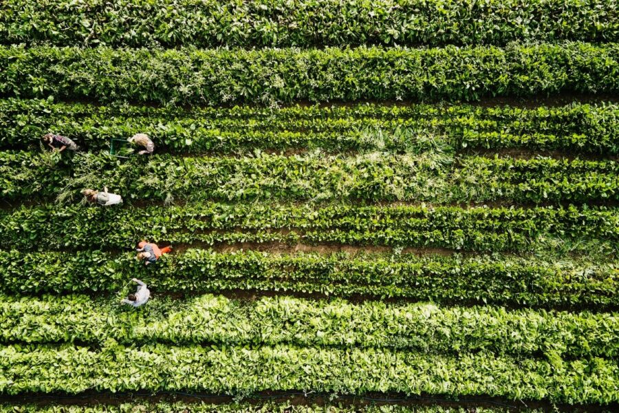 Thomas Barwick/Getty Images