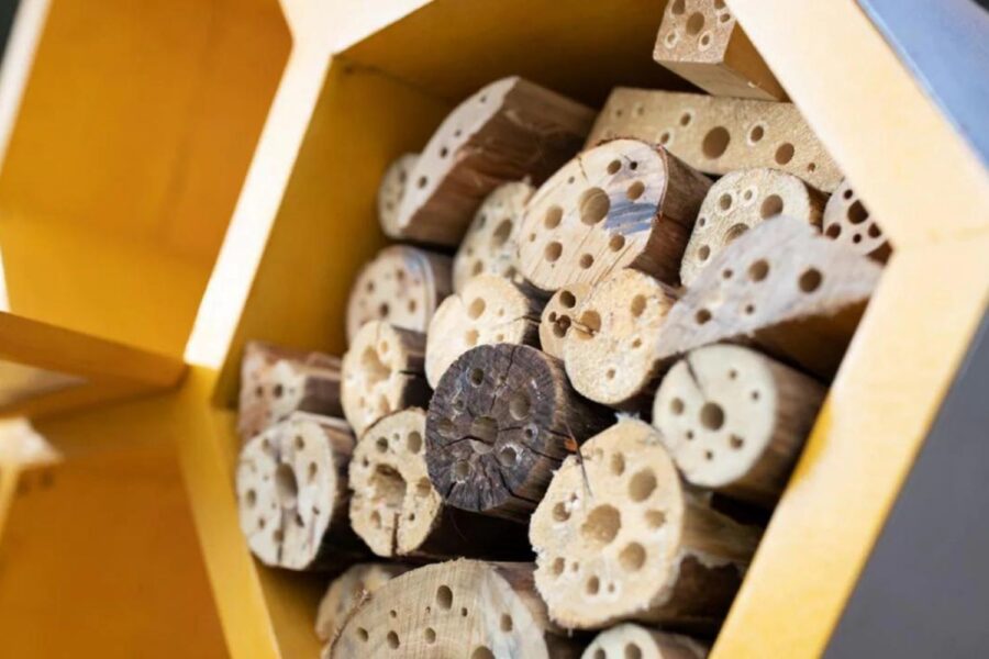Caixa de madeira em forma de favo para abrigar abelhas