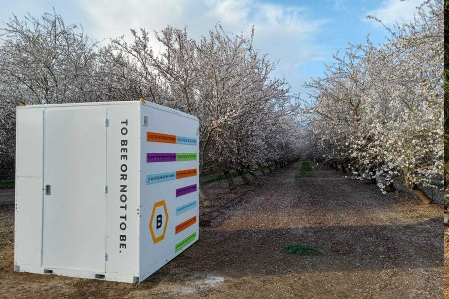 Caixa tecnológica instalada em um pomar de cerejeiras