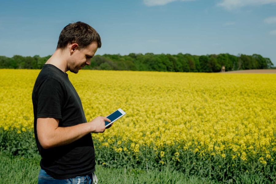 Produtor de canola numa lavoura, com celular na mão. Ao fundo, uma reserva de mata. Ele veste camiseta preta e jeans