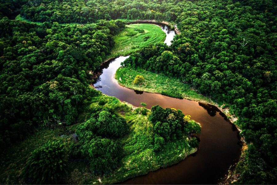 Rio na Mata Atlântica
