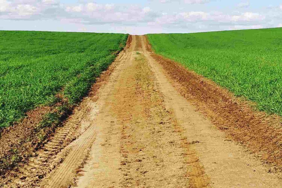 Estrada de terra, plana, com cultivo nas laterais