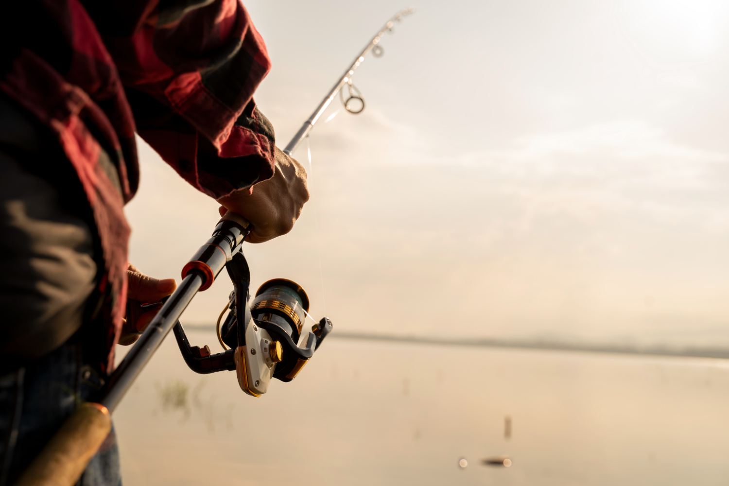 Dia do Pescador: 10 pesqueiros para se divertir e aprender - Forbes