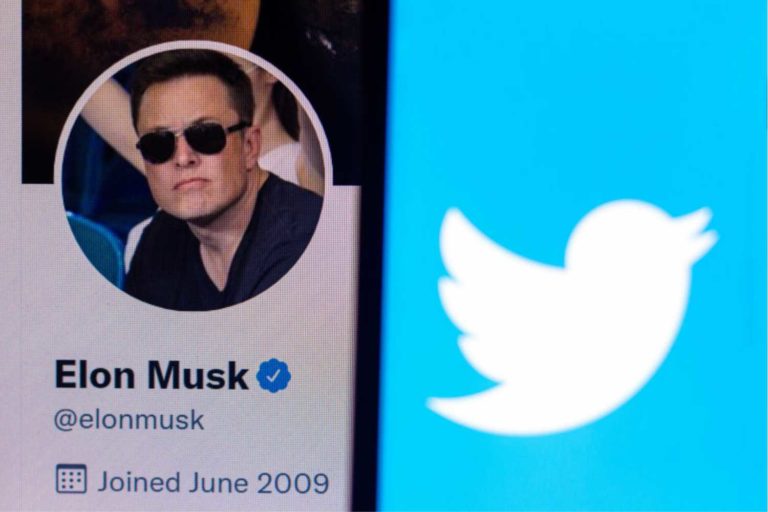 Perfil de Elon Musk no Twitter ao lado de passarinho do logo da marca em fundo azul