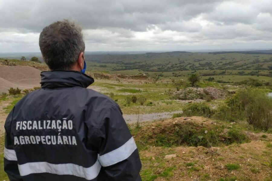 Foto: ANFFA Sindical/ Reprodução site
